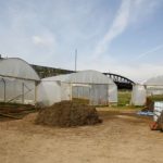 Polytunnel Best Practices