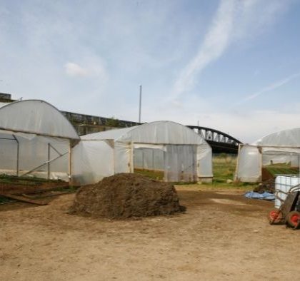 Polytunnel Best Practices