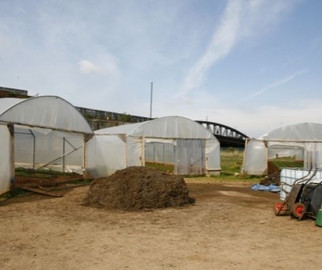 Polytunnel Best Practices