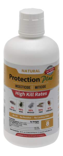 Discipline Plus Insecticide Protection Plus | Best Insecticide for Plants & Natural Control ...