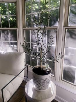 Breathe Pearly White Plant Pot