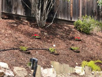 Erosion Control Landscaping