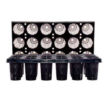 Propagation 18-Cell 10x20