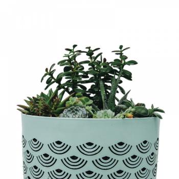 Breathe Misty Mint Plant Pot