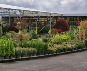 6 Gallon Black Plastic Nursery Pots