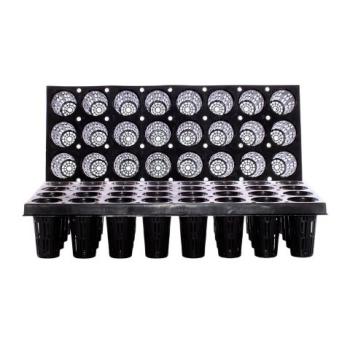 Propagation 32-Cell 10x20