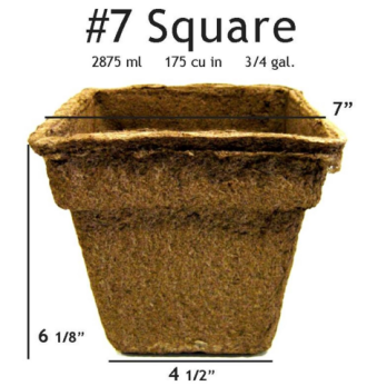CowPot #7 Square