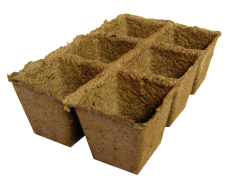 Biodegradable Seedling Trays