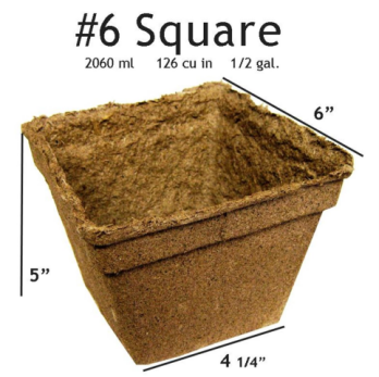 CowPot #6 Square