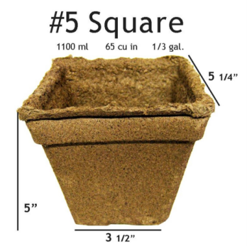 CowPot #5 Square